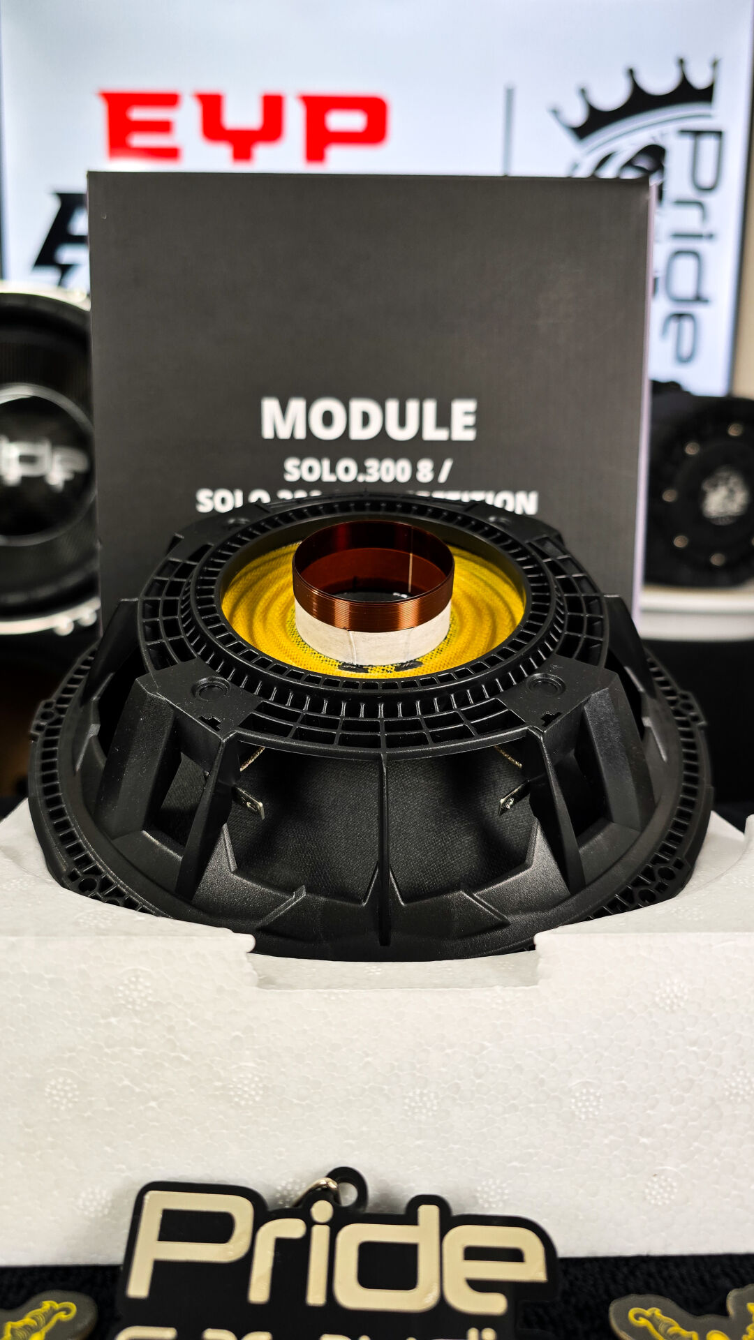 Pride Audio Solo 300 8 competition kit