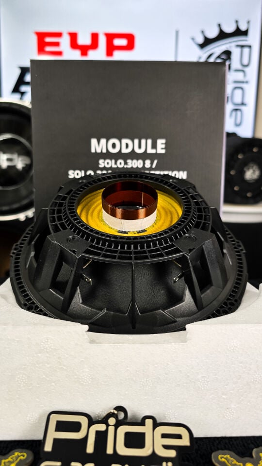 Pride Audio Solo 300 8 competition kit