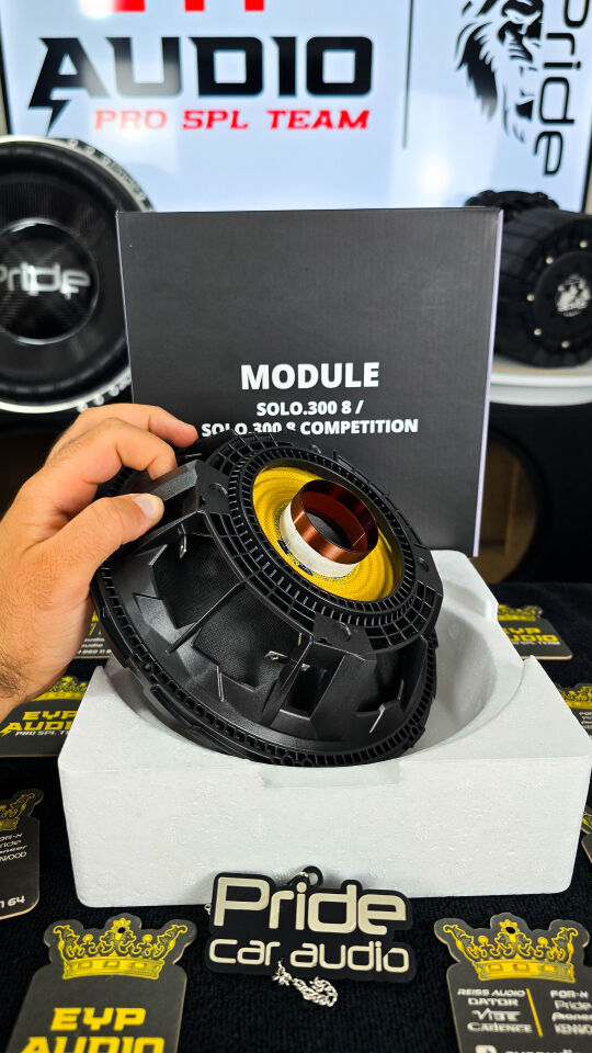 Pride Audio Solo 300 8 competition kit