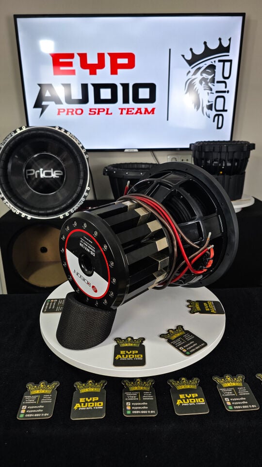 EDİSON WX12N

30 cm 8000 WATT 4000 RMS NEODYUM